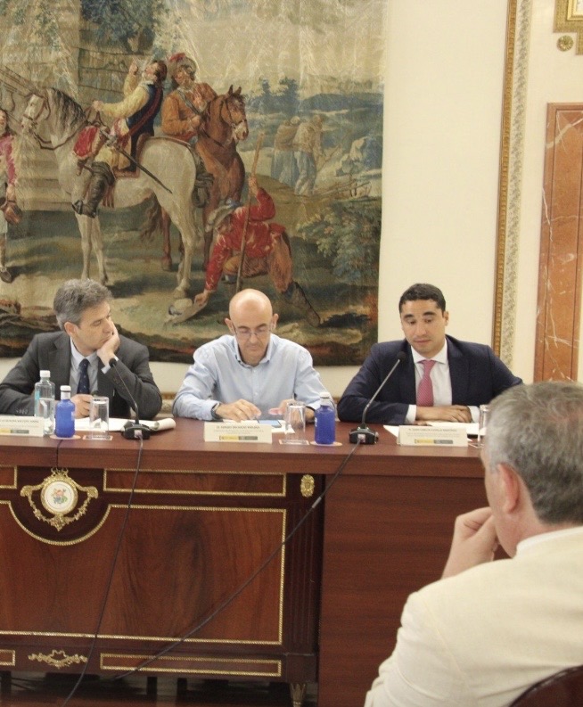 Panel institucional en Madrid