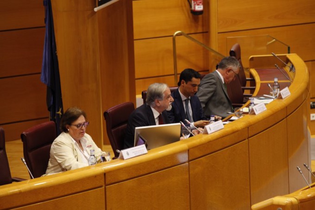 Sesión institucional en el Senado